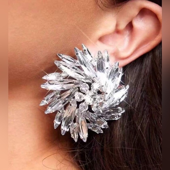 ✨NEW Elegant Silver Floral Earrings - Picture 3 of 5